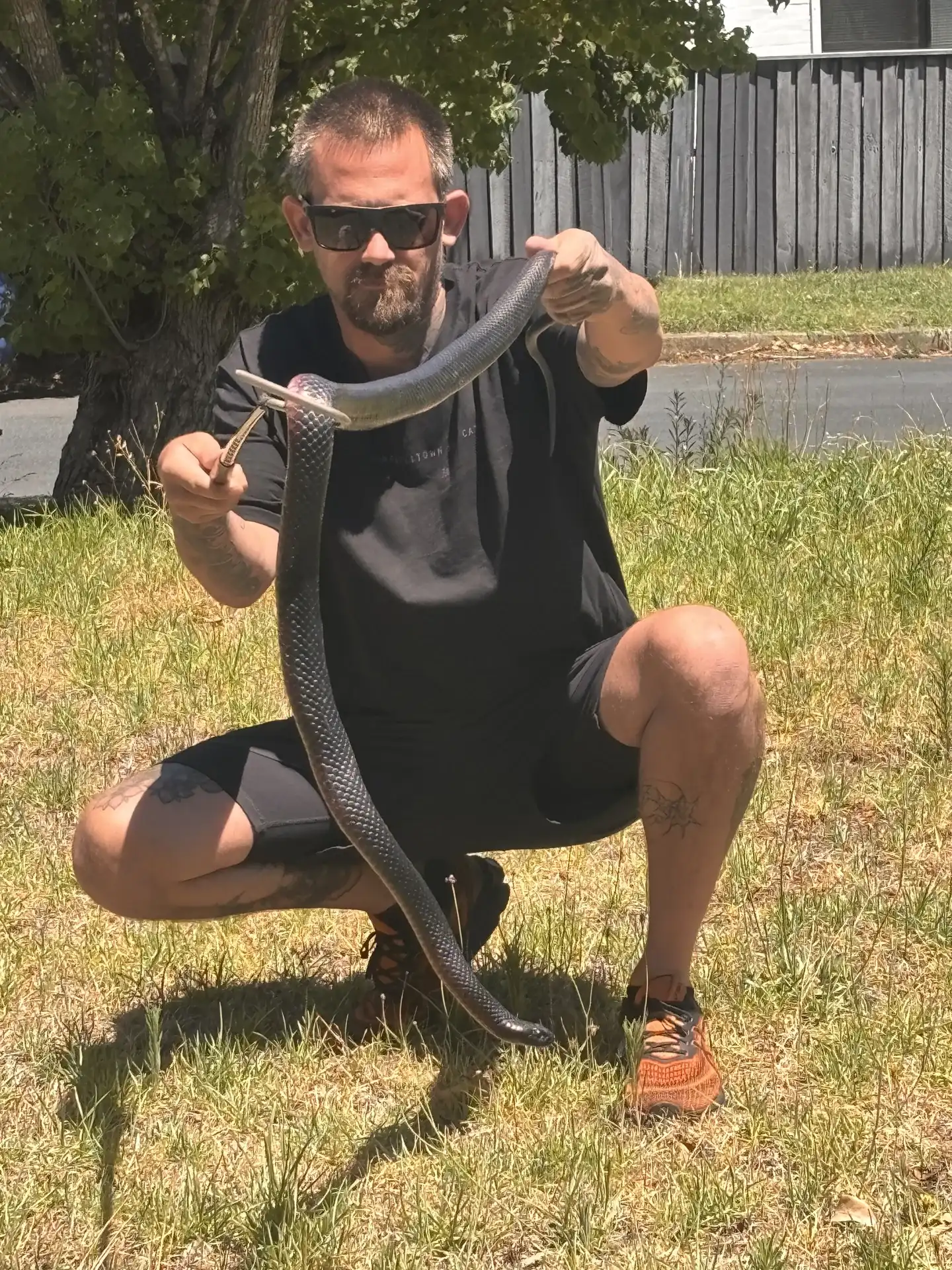 Camden snake catcher safely handling a snake outdoors
